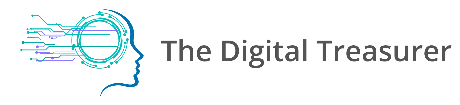 The Digital Treasurer